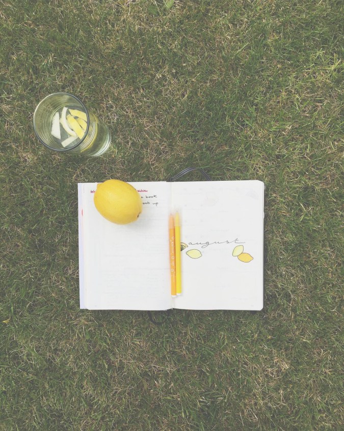 810a750b-fb7f-4374-bfa5-4b1f442ff5a0