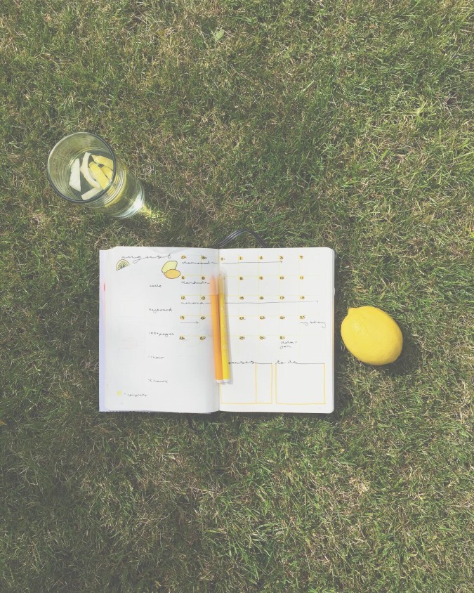 d79fa19c-54da-4263-af7e-58cd9401766c